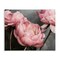 Stupell Industries Pink Peonies Trio Canvas Wall Art Design by Sisi and Seb